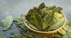 Fresh Bay Leaf